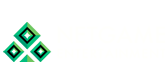 Netgame